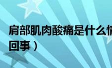 肩部肌肉酸痛是什么情况（肩部肌肉酸痛怎么回事）