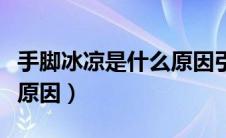 手脚冰凉是什么原因引起的（手脚冰凉是什么原因）