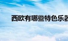 西欧有哪些特色乐器(西欧有哪些国家)