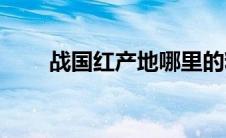 战国红产地哪里的料好(战国红产地)