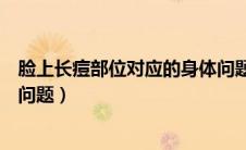 脸上长痘部位对应的身体问题图（脸上长痘部位对应的身体问题）