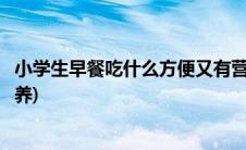 小学生早餐吃什么方便又有营养(小学生早餐吃什么方便又营养)