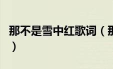 那不是雪中红歌词（那不是雪中红歌歌词介绍）