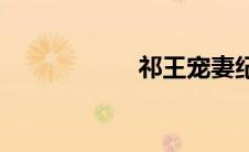 祁王宠妻纪事(祁王)