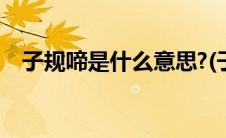 子规啼是什么意思?(子规啼血是什么意思)
