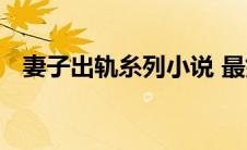 妻子出轨糸列小说 最好带情节故事的片段