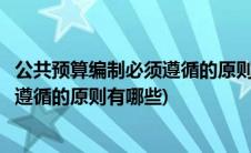 公共预算编制必须遵循的原则有哪些内容(公共预算编制必须遵循的原则有哪些)