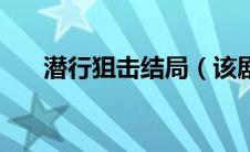 潜行狙击结局（该剧是一个什么故事）