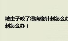 被虫子咬了很痛像针刺怎么办起水泡（被虫子咬了很痛像针刺怎么办）