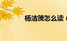 杨洁箎怎么读（杨洁箎是谁）