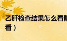 乙肝检查结果怎么看阳性（乙肝检查结果怎么看）