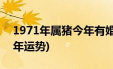 1971年属猪今年有婚外情吗(1971年属猪今年运势)