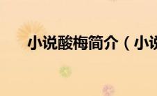 小说酸梅简介（小说酸梅简介是什么）