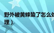野外被黄蜂蛰了怎么处理（被黄蜂蛰了怎么处理）
