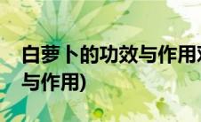 白萝卜的功效与作用对肺好吗(白罗卜的功效与作用)