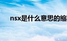 nsx是什么意思的缩写(nsx是什么意思)