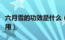 六月雪的功效是什么（中药六月雪的功效与作用）