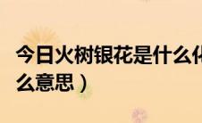 今日火树银花是什么化学变化（火树银花是什么意思）