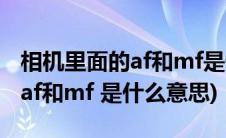 相机里面的af和mf是什么意思(单反相机上的af和mf 是什么意思)