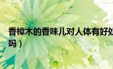 香樟木的香味儿对人体有好处吗（香樟木的香味对人体有害吗）