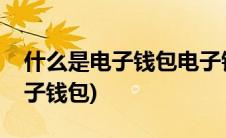 什么是电子钱包电子钱包有何功能(什么是电子钱包)