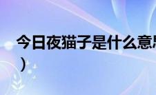 今日夜猫子是什么意思?（夜猫子是什么意思）