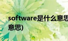 software是什么意思中文(software是什么意思)