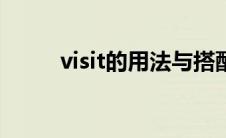 visit的用法与搭配（是什么意思）