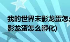 我的世界末影龙蛋怎么孵化原版(我的世界末影龙蛋怎么孵化)
