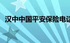 汉中中国平安保险电话(中国平安保险电话)