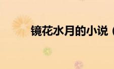 镜花水月的小说（镜花水月传奇）