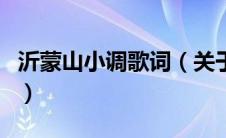 沂蒙山小调歌词（关于沂蒙山小调歌词的介绍）