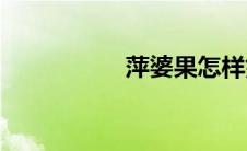 萍婆果怎样好剥(萍婆)