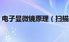 电子显微镜原理（扫描电子显微镜成像原理）