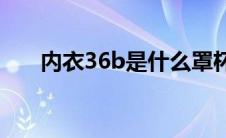内衣36b是什么罩杯(36b是什么罩杯)