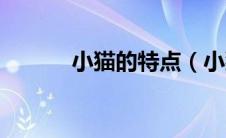 小猫的特点（小猫有什么特点）