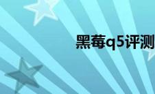 黑莓q5评测（黑莓q5）