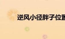 逆风小径胖子位置(逆风小径打钱)