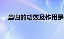 当归的功效及作用是什么（当归的功效）