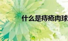什么是痔疮肉球（什么是痔疮）