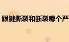 跟腱撕裂和断裂哪个严重（跟腱撕裂严重吗）