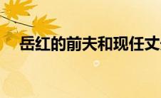 岳红的前夫和现任丈夫是谁(岳红的前夫)