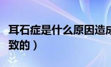 耳石症是什么原因造成（耳石症是什么原因导致的）