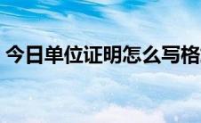 今日单位证明怎么写格式（单位证明怎么写）