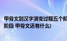 甲骨文到汉字演变过程五个阶段(汉字的演变主要经历了五个阶段 甲骨文还有什么)