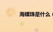 海螺珠是什么（海螺珠是啥）