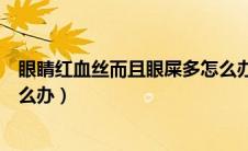 眼睛红血丝而且眼屎多怎么办（眼睛红血丝眼屎多眼泪多怎么办）