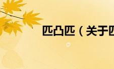 匹凸匹（关于匹凸匹的介绍）