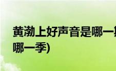 黄渤上好声音是哪一期(好声音黄渤是哪一期哪一季)