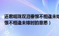 还君明珠双泪垂恨不相逢未嫁时什么意思（还君明珠双泪垂恨不相逢未嫁时的意思）